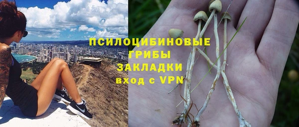 соль ск Михайлов
