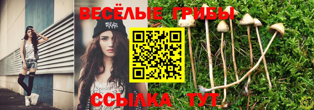 Галлюциногенные грибы MAGIC MUSHROOMS Сарапул