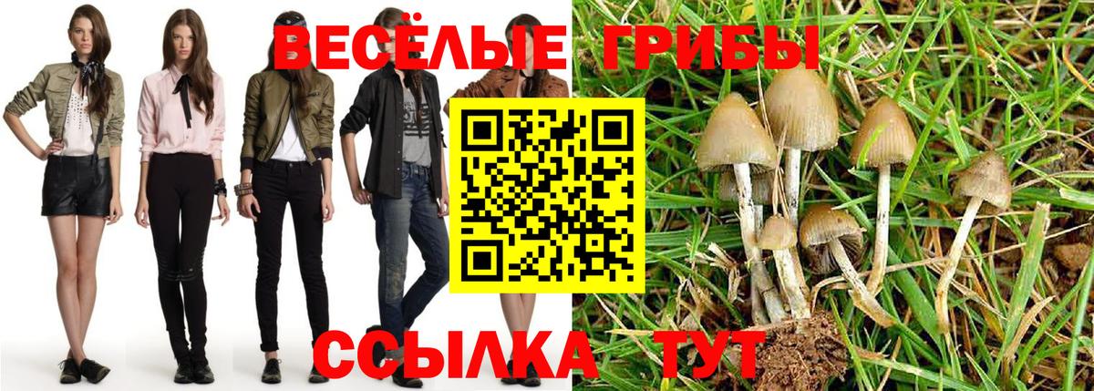 где купить наркоту  Галлюциногенные грибы ЛСД  Вход с VPN  Сарапул 
