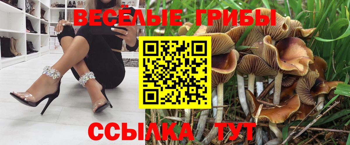Меф мяу мяу Сарапул
